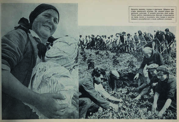 15 лет Всесоюзного Ленинского Коммунистического Союза Молодежи.1918-1933 гг./Худ. С. Телингатер,Г. Клуцис и др. М.,1934.